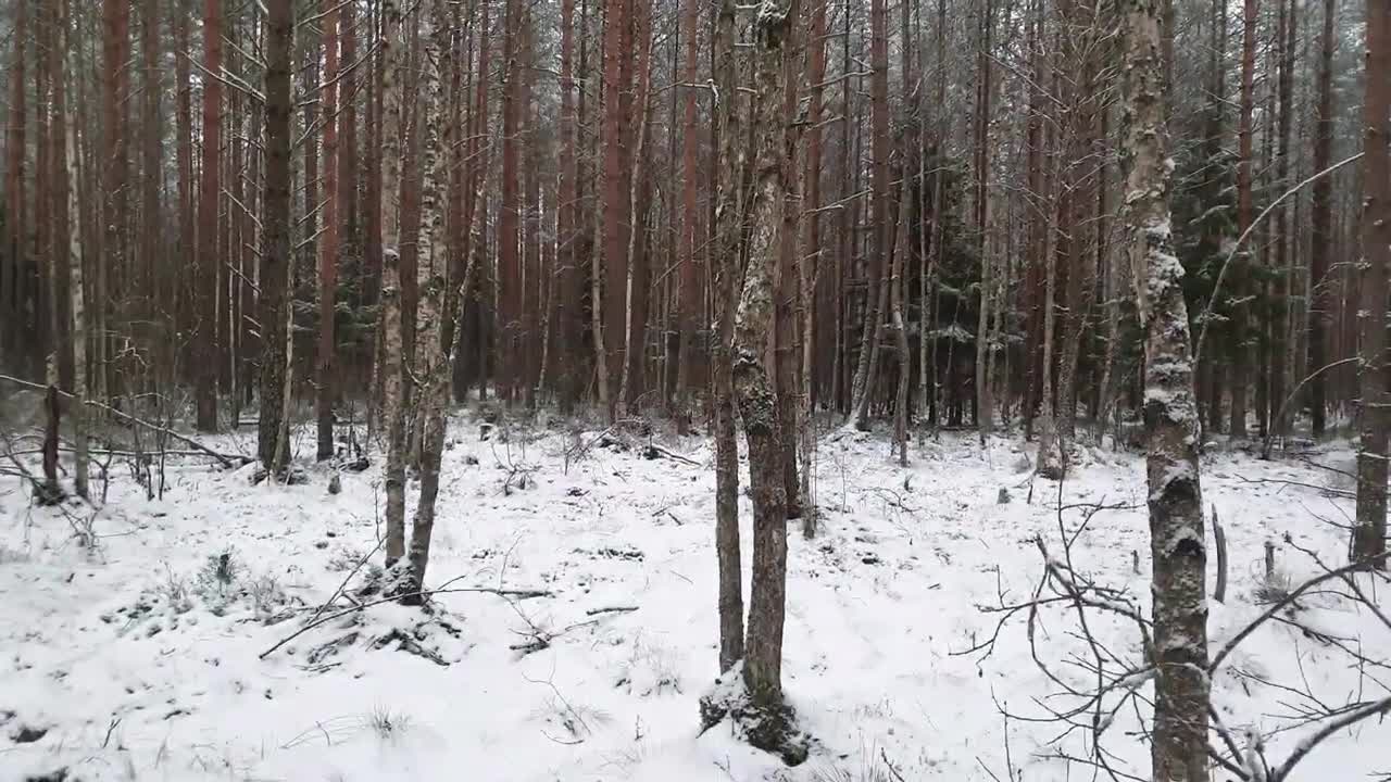 Inexplicable phenomena filmed on camera in Russia and the world