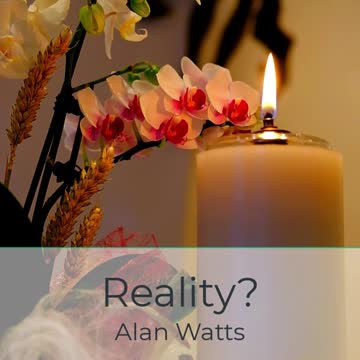 Questions on Reality by Alan Watts