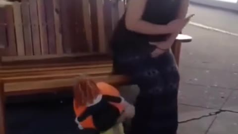 adorable baby and animas making you laugh a lot