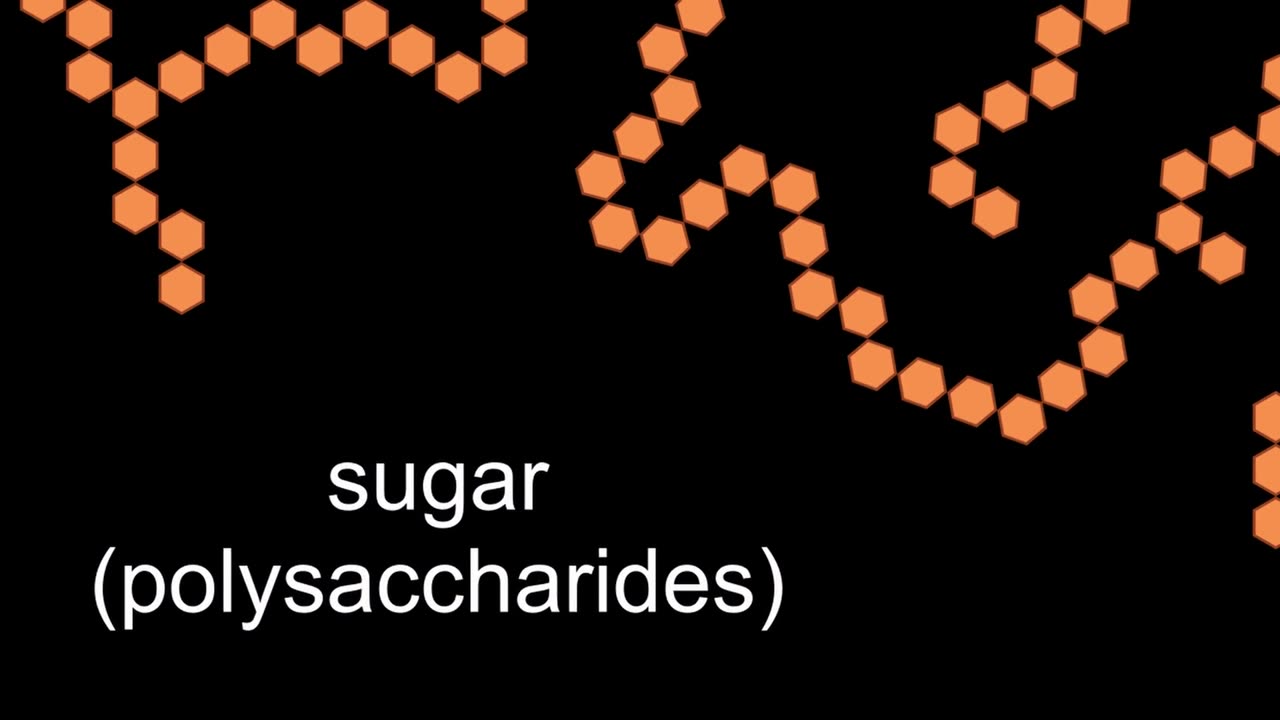 ALL OF BIOLOGY explained in 17 minutes