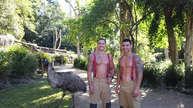 Bomberos que salvaron animales de los incendios, elevan la temperatura con el nuevo calendario