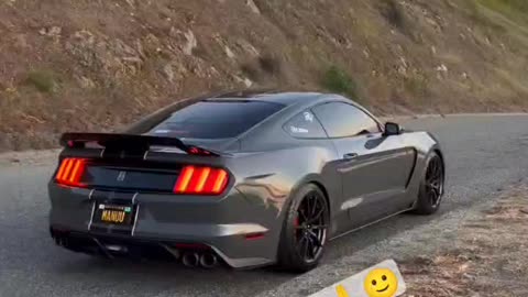 Crazy mustang 😍😍