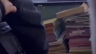 Student Suddenly Collapses In Class 💉(2023)