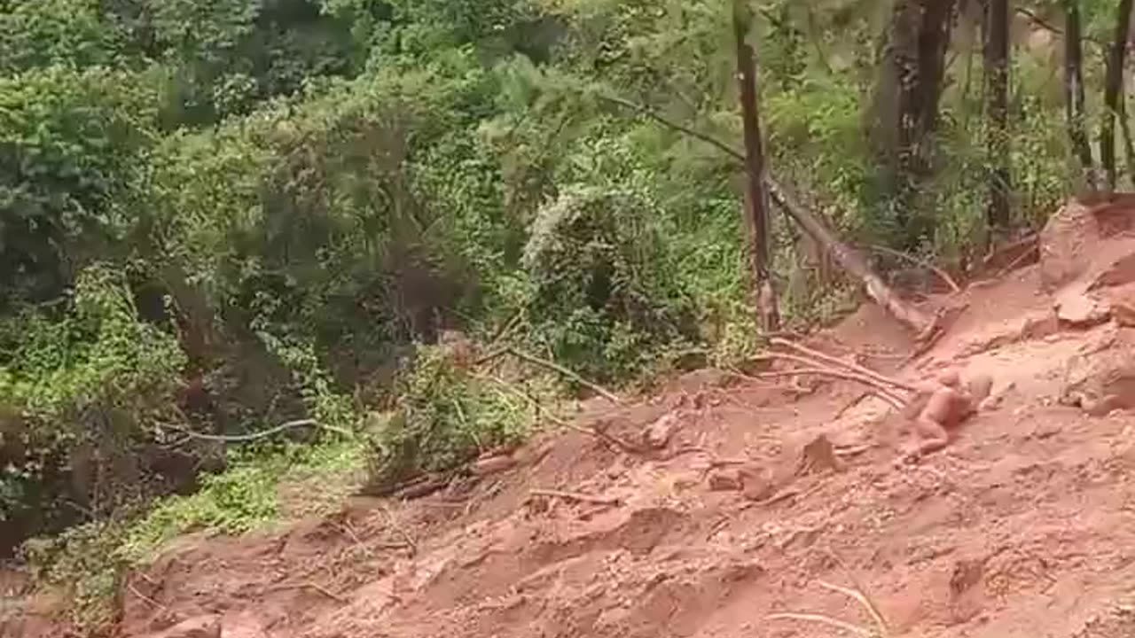 colombia landslide