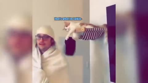 Friends fight