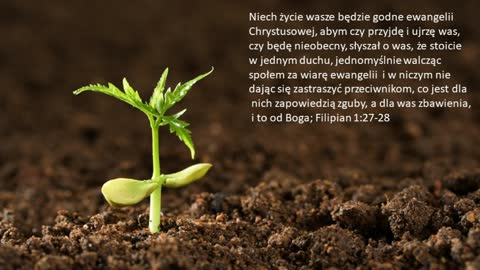 Życie godne ewangelii
