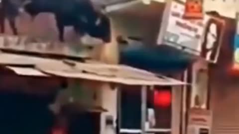 Nice video 😁