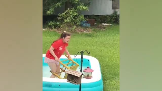 🐩 Ozzy Man Reviews When Animals Fight Back 🦄