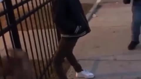 Alien from Men in Black?