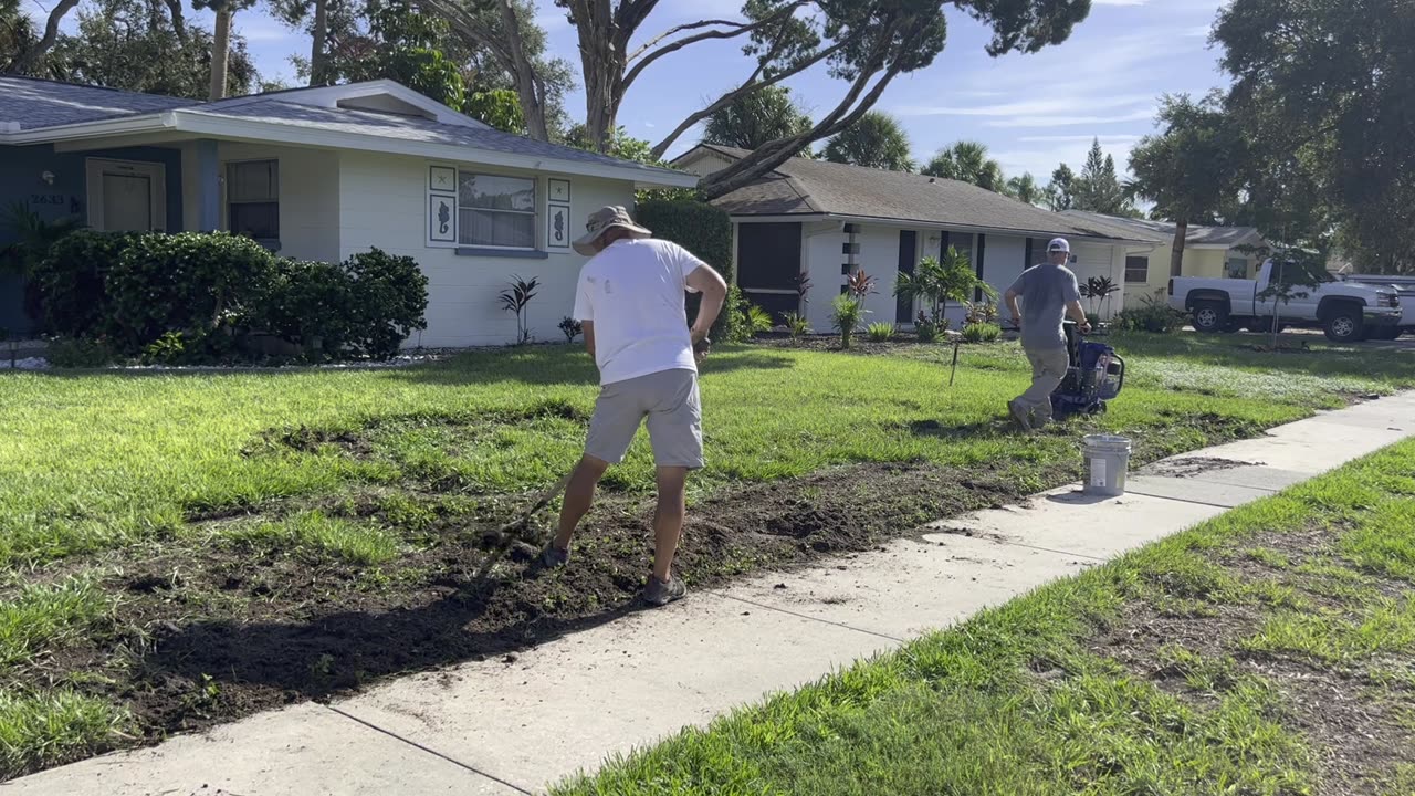 Seeding vs Sodding - BAHIA Grass in Florida