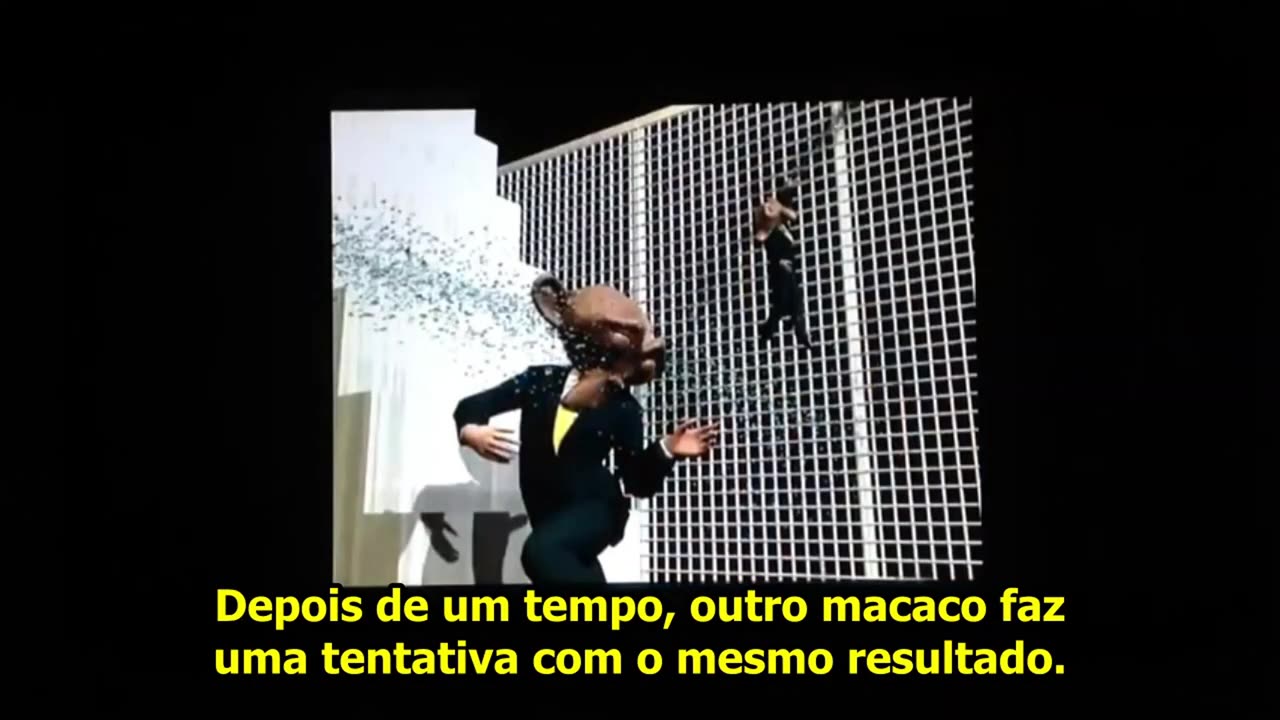 O Grande Ginocentrismo da Nossa Era Pt 2- Tradições, Harlow e o Cenário dos 5 Macacos - Barbarossa