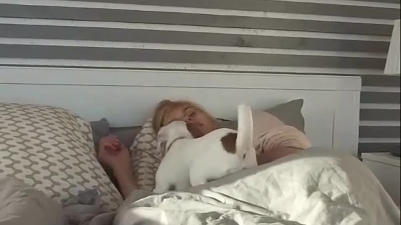 Our COMPLETE PUPPY NIGHTTIME ROUTINE in 2024