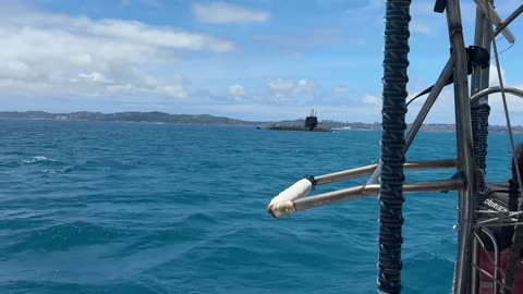 Day diving in Okinawa
