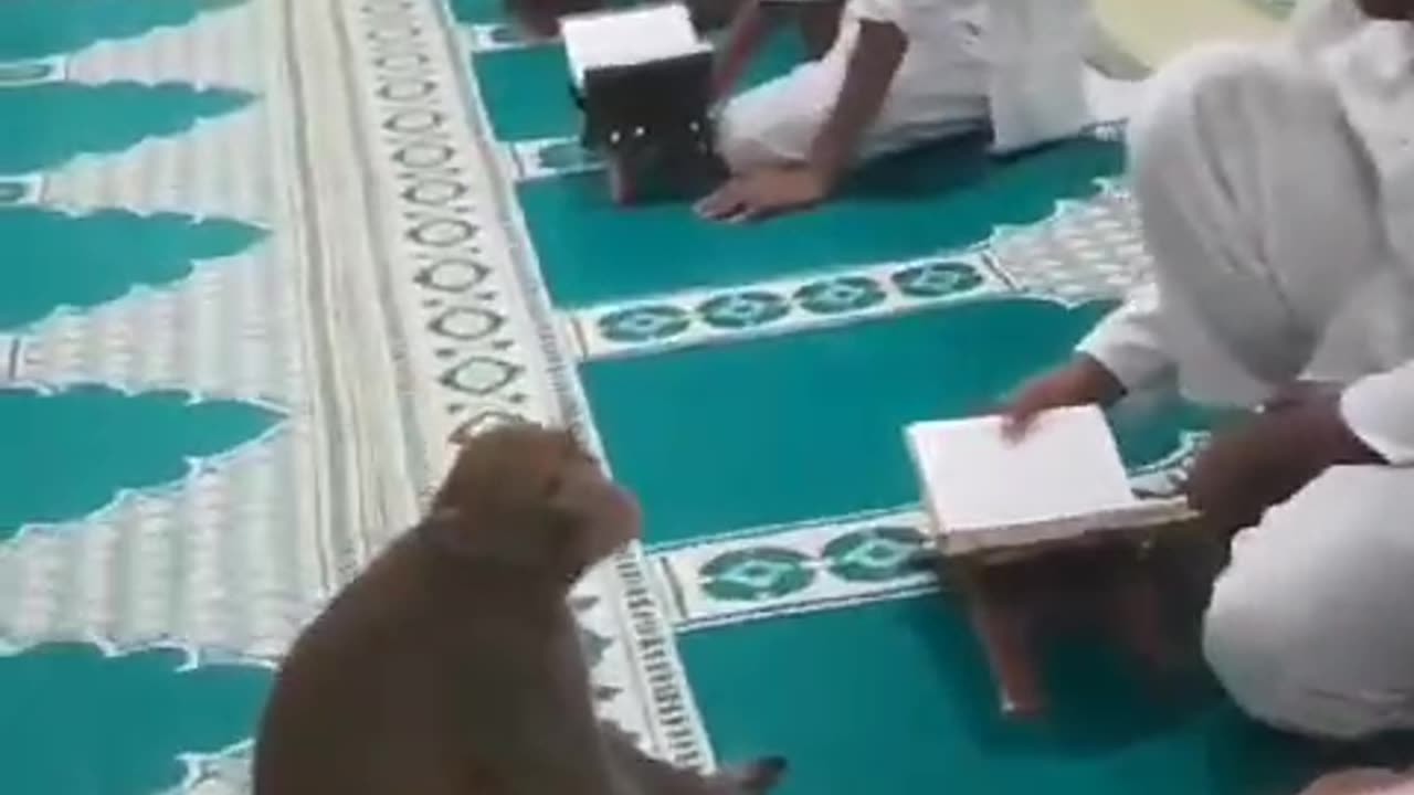 Namaz