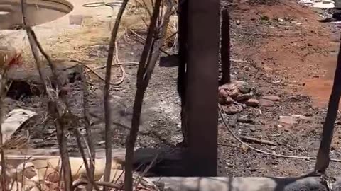 Tesla: Starlink already in place in Hawaii!