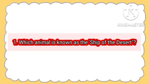 Can you answer??