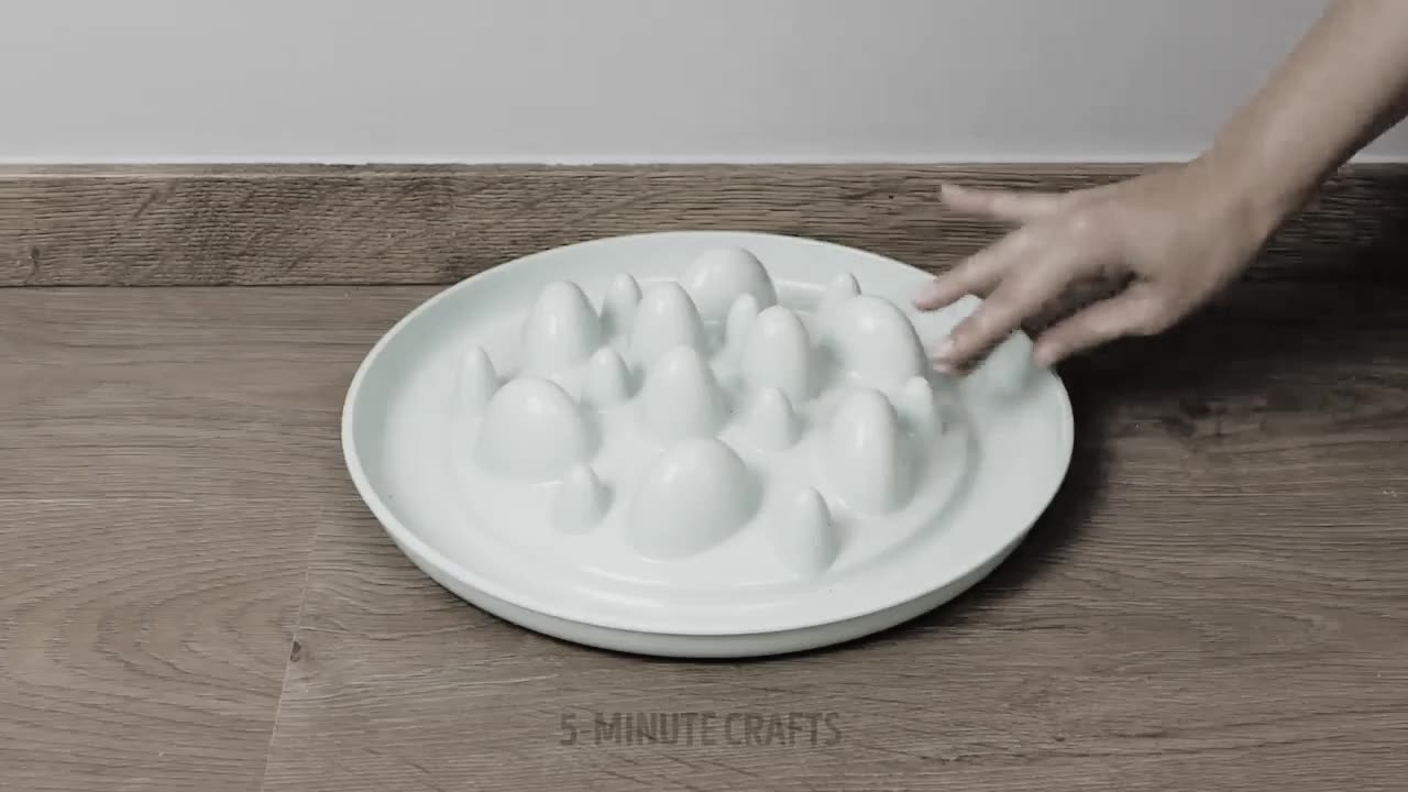 Best Pet Gadget
