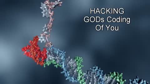 ‘Biological Computers That Work At The Molecular DNA Leve’ [DNA Strand Dispacement]