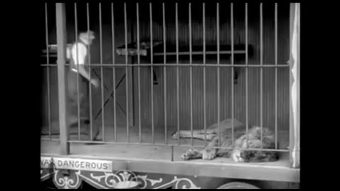 Charlie Chaplin - Z comme Zoo