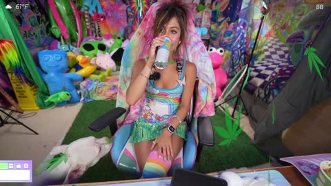 What Everyone Ought To Know About EDM PARTY