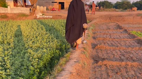 punjab