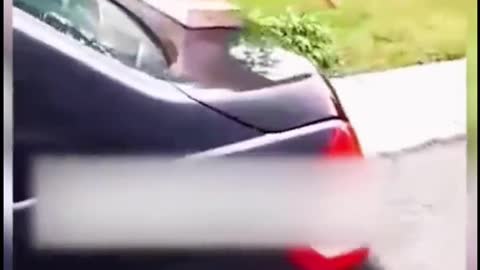 Assorted mixture of failure part 11 #fails, #carfails, #bodybuildingfail, #thinice,