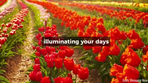 Discover the Power of Trusting Me - Gods Message Now