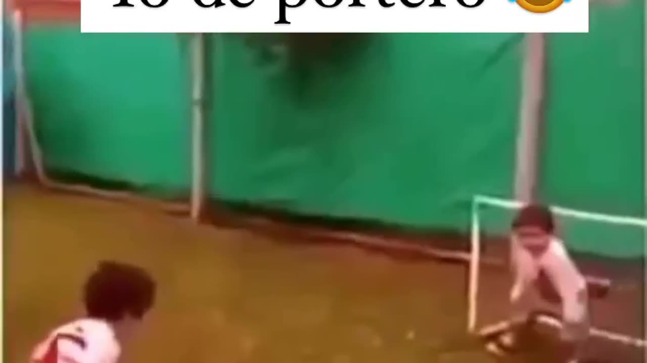 Videos engraçado