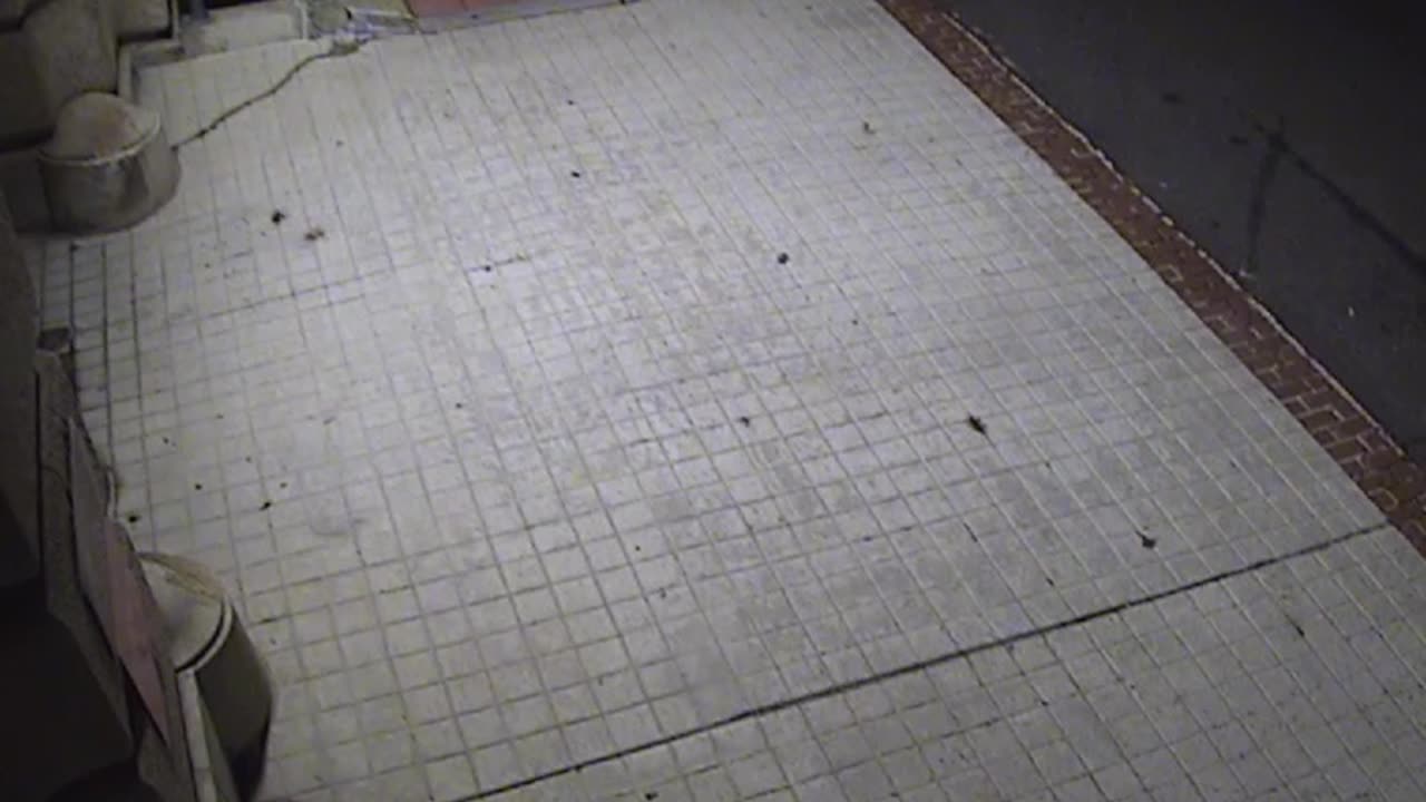 3203LHOBBACStLoadingDockExteriork_2021-01-05_22h00min01s393ms.mp4