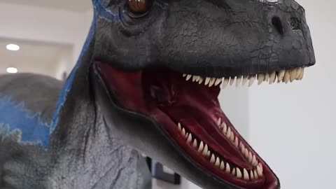 Husky Pranked by Dinosaur