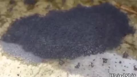 GRAPHENE RAIN