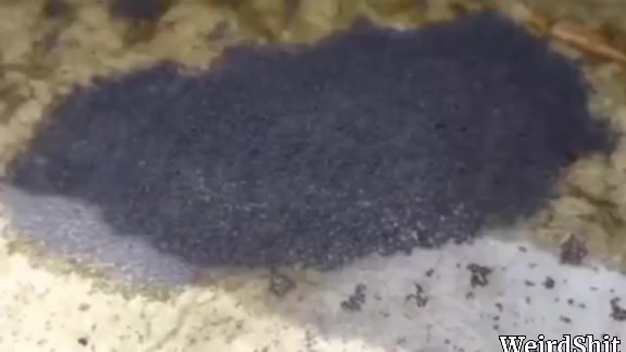 GRAPHENE RAIN