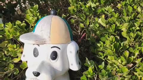 This puppy is very cute with his hat on