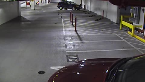 6120RHOBG2G204ALobby4Entrance_2021-01-05_00h00min02s040ms.mp4