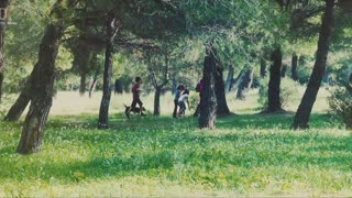 Fred Bouchal - Aura