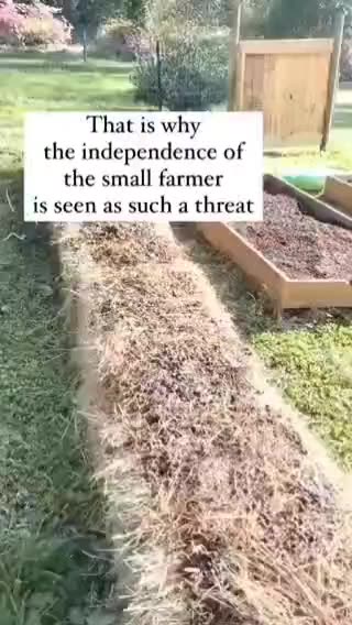 The reason they want to get rid of the small farmer
