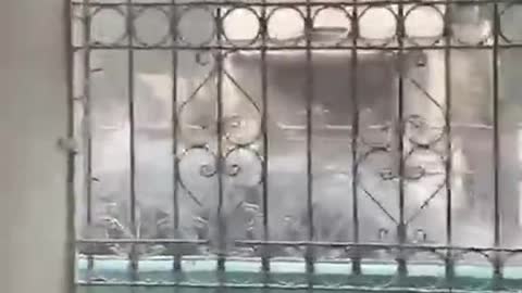 Most of Puerto Rico is without power after Hurricane Fiona