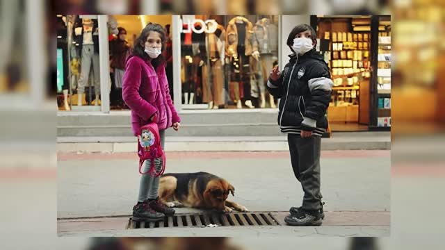 The Dog Looked into The Storm Drain Every Day - People Were Shocked! ~(IncredibleStories)