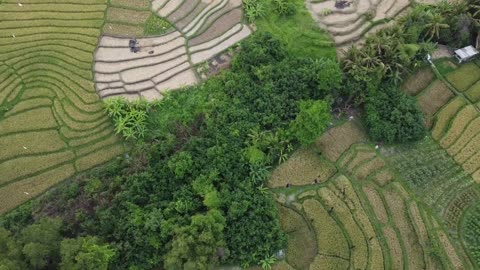 Indonesia Beach Mountains Bali