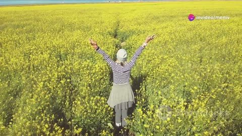 Embrace Abundance: The Power of Gratitude