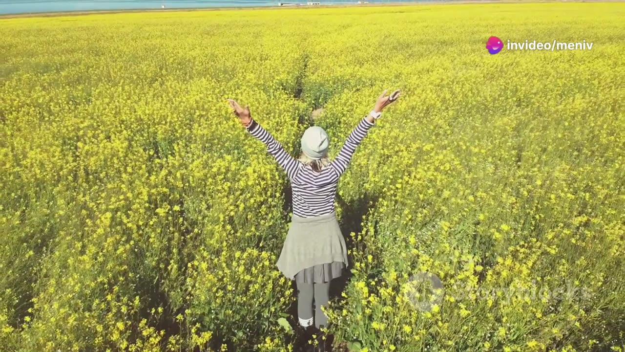 Embrace Abundance: The Power of Gratitude