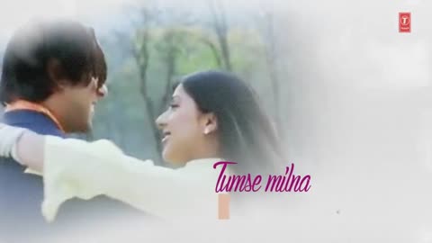 Tumse Milna Lyrical Video - Tere Naam - Himesh Reshammiya - Salman Khan, Bhoomika Chawla
