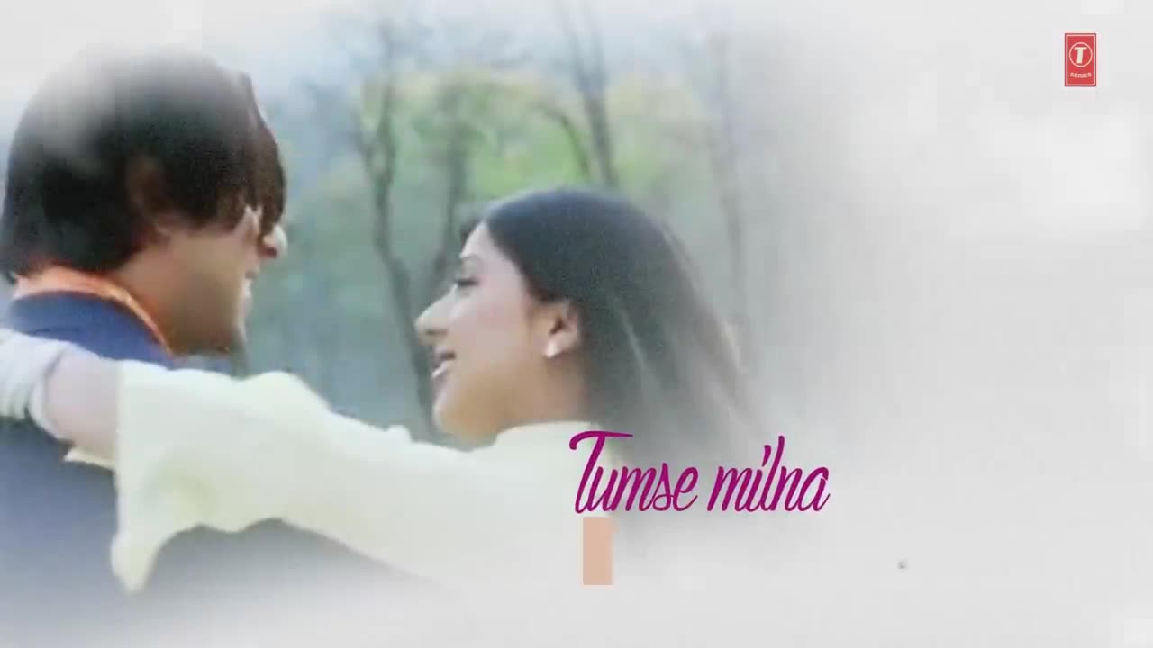 Tumse Milna Lyrical Video - Tere Naam - Himesh Reshammiya - Salman Khan, Bhoomika Chawla