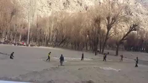 Cricket