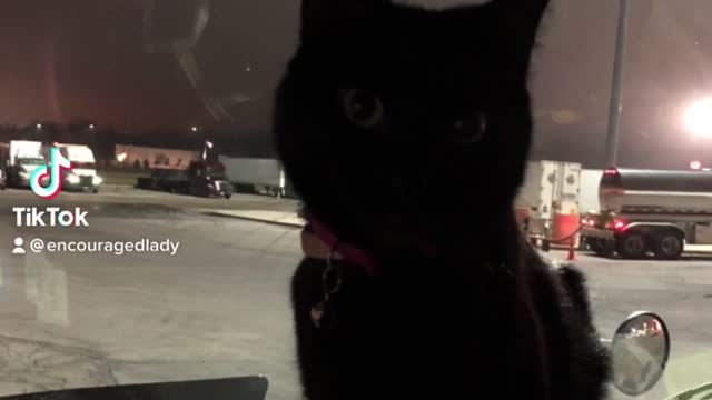 Kitty Kiki