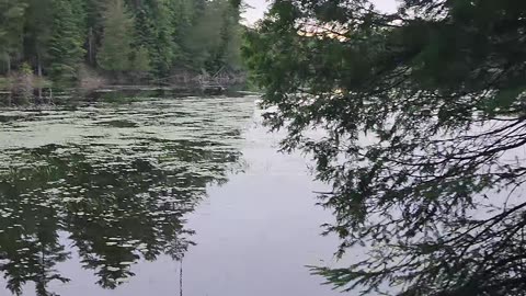 06-11-24 | Park Lake ATV Ride | #Shorts | Part-1