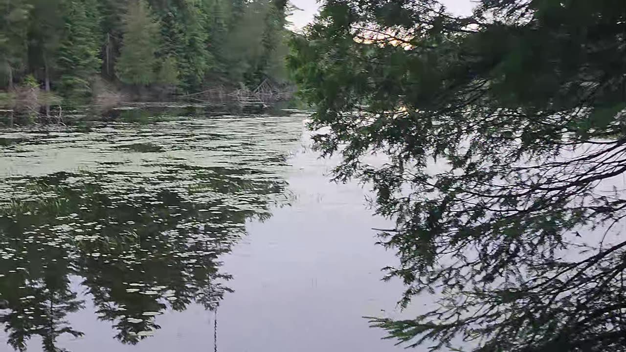 06-11-24 | Park Lake ATV Ride | #Shorts | Part-1