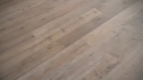 Made a Train for my dogs