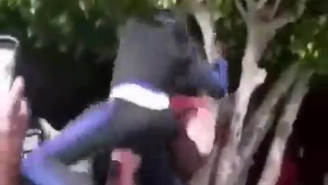 This is animal behavior. Humans do not act this way.