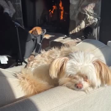 Happy Sunday Friends! KETO Mom Vlog